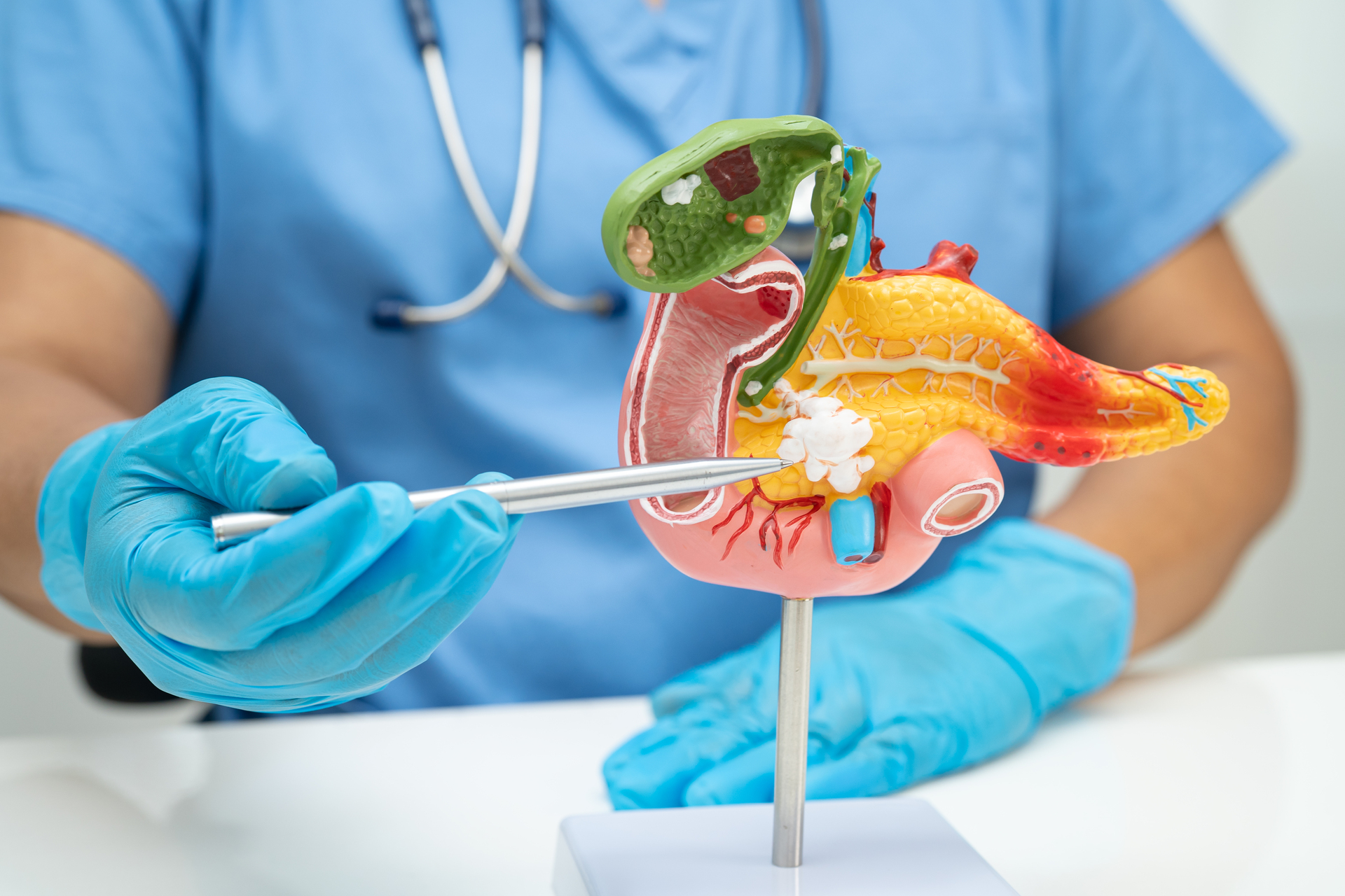 Chirurgie digestive et hépatobiliaire (Obésité) - 1